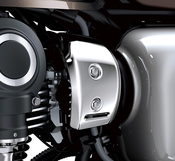 Throttle Body Cover, Chrome, Left Side