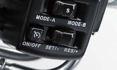 Electronic Cruise Control