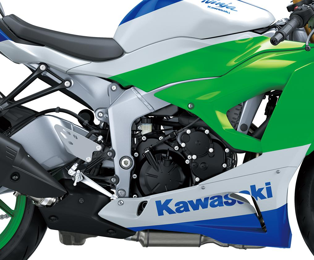 Silver Frame and Swingarm